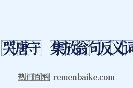 哭唐守楩集放翁句反义词是什么意思的图片